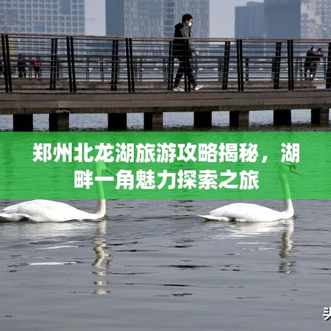 环肥燕瘦 第2页