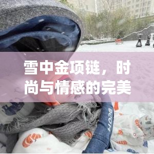 雪中金项链，时尚与情感的完美融合象征