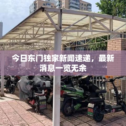 今日东门独家新闻速递，最新消息一览无余