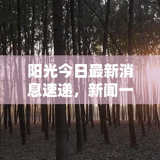 阳光今日最新消息速递，新闻一览无余！