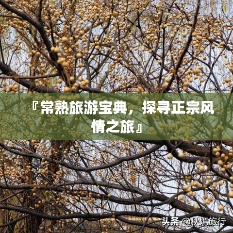 『常熟旅游宝典，探寻正宗风情之旅』