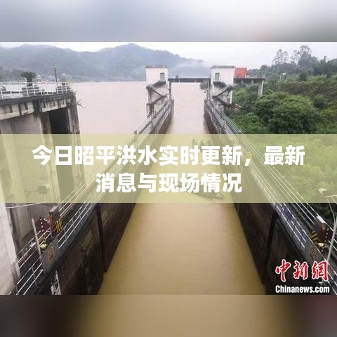 今日昭平洪水实时更新，最新消息与现场情况
