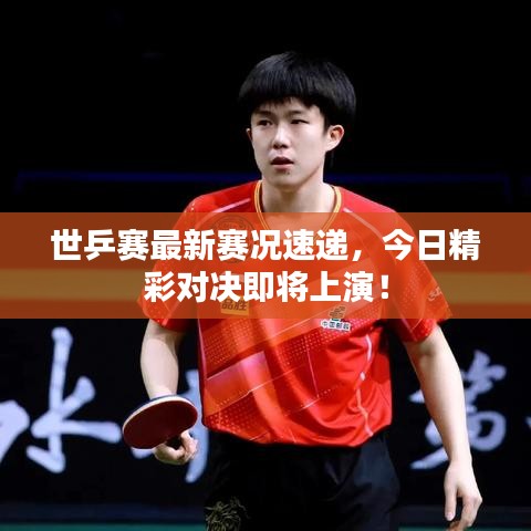 世乒赛最新赛况速递，今日精彩对决即将上演！