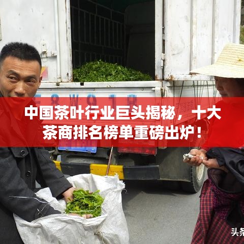 中国茶叶行业巨头揭秘，十大茶商排名榜单重磅出炉！