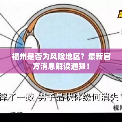 福州是否为风险地区？最新官方消息解读通知！