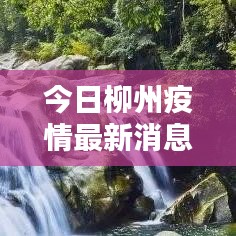 今日柳州疫情最新消息报道，疫情动态实时更新
