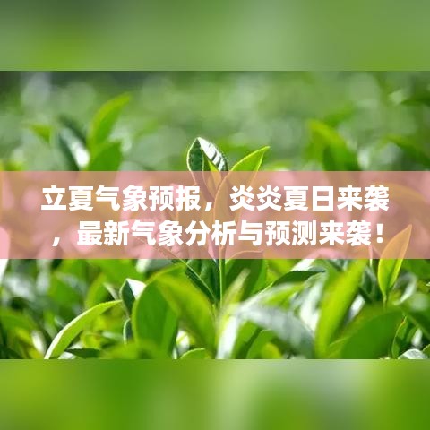 立夏气象预报，炎炎夏日来袭，最新气象分析与预测来袭！
