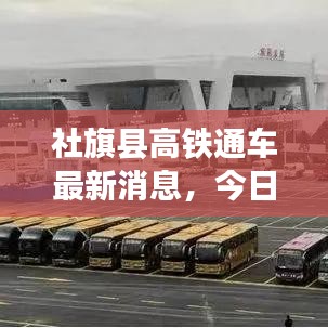 屈尊就卑 第2页