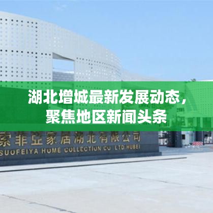湖北增城最新发展动态，聚焦地区新闻头条