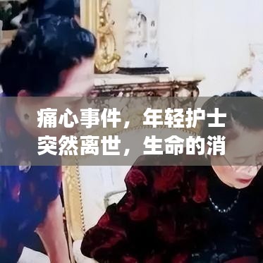 昙花一现 第2页