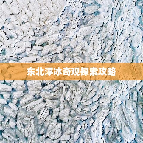巧舌如簧 第2页