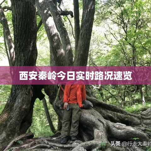 西安秦岭今日实时路况速览