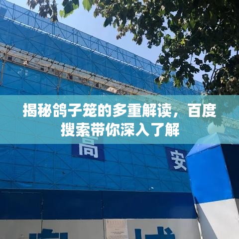 揭秘鸽子笼的多重解读，百度搜索带你深入了解