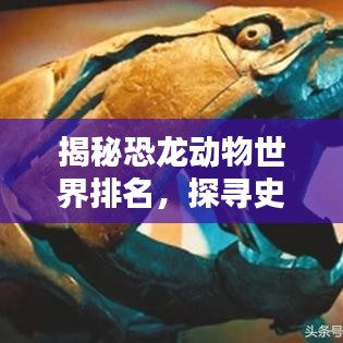 钝学累功 第2页