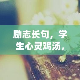 励志长句，学生心灵鸡汤，百度收录标准标题！