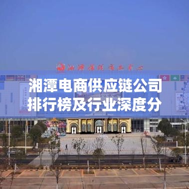 湘潭电商供应链公司排行榜及行业深度分析