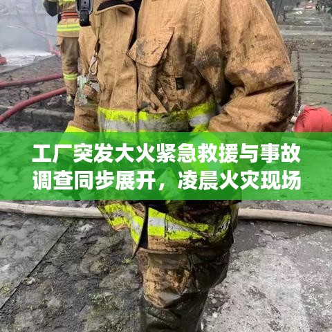工厂突发大火紧急救援与事故调查同步展开，凌晨火灾现场揭秘
