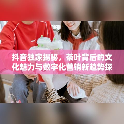 抖音独家揭秘，茶叶背后的文化魅力与数字化营销新趋势探索