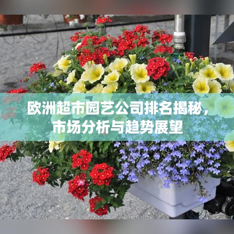 欧洲超市园艺公司排名揭秘，市场分析与趋势展望