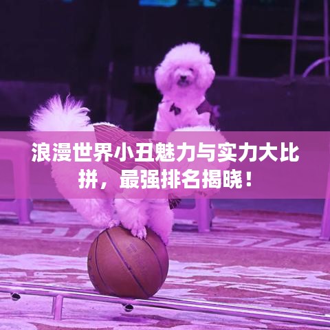 浪漫世界小丑魅力与实力大比拼，最强排名揭晓！