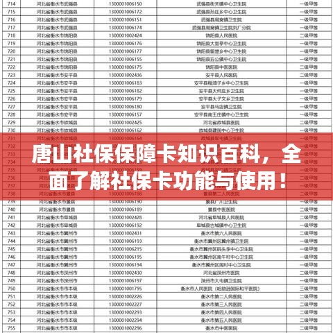 唐山社保保障卡知识百科，全面了解社保卡功能与使用！