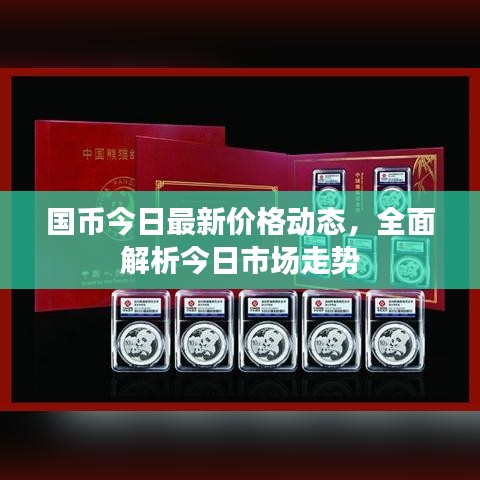 国币今日最新价格动态，全面解析今日市场走势