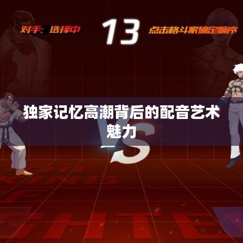 独家记忆高潮背后的配音艺术魅力