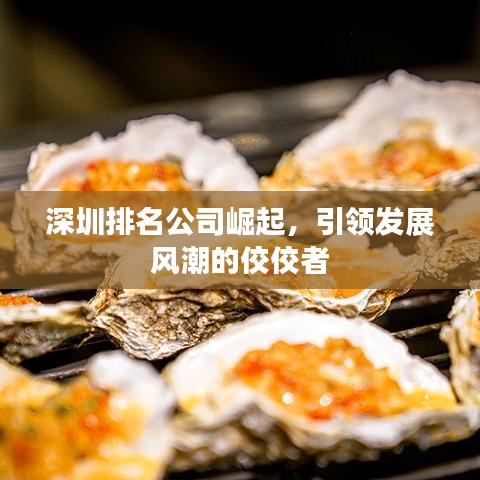 深圳排名公司崛起，引领发展风潮的佼佼者