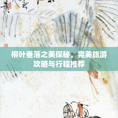 柳叶垂落之美探秘，完美旅游攻略与行程推荐