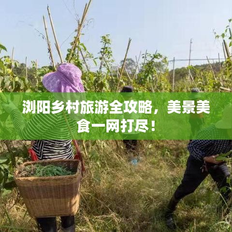 浏阳乡村旅游全攻略，美景美食一网打尽！