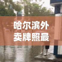 哈尔滨外卖牌照最新使用动态
