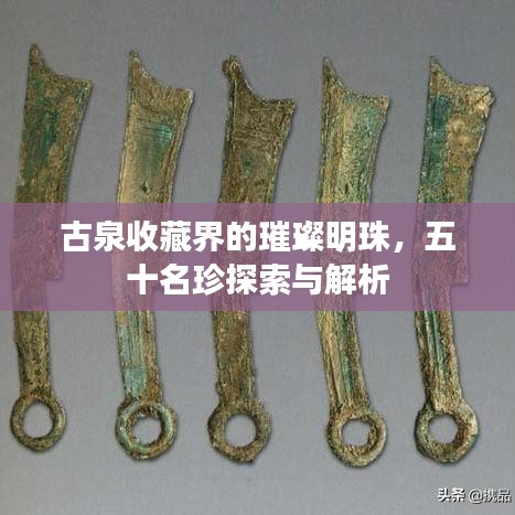 古泉收藏界的璀璨明珠，五十名珍探索与解析