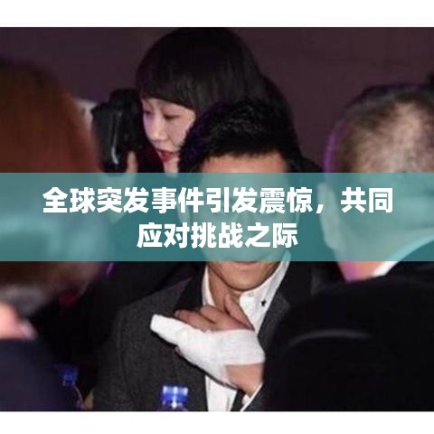 全球突发事件引发震惊，共同应对挑战之际
