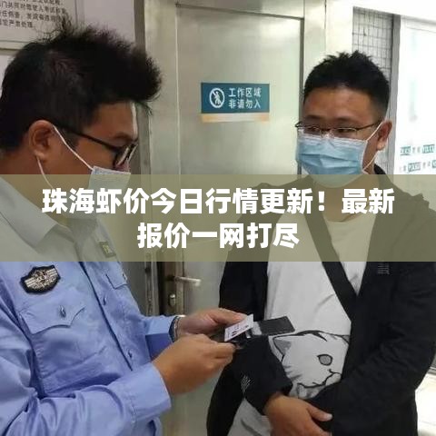 珠海虾价今日行情更新！最新报价一网打尽