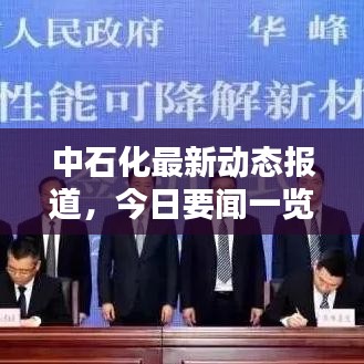 中石化最新动态报道，今日要闻一览