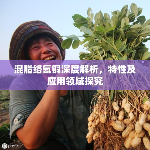 混脂络氨铜深度解析，特性及应用领域探究
