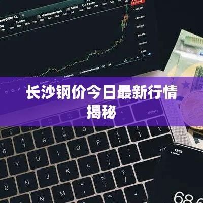 澹泊明志 第2页