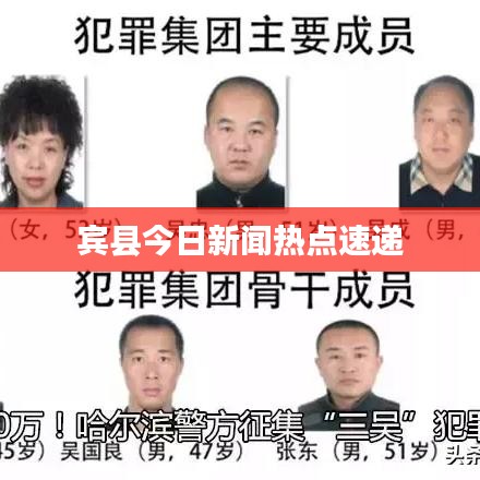 宾县今日新闻热点速递