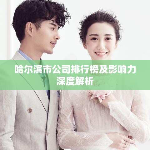 哈尔滨市公司排行榜及影响力深度解析