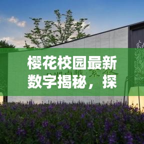 地老天荒 第2页