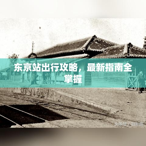东京站出行攻略，最新指南全掌握