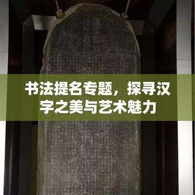 书法提名专题，探寻汉字之美与艺术魅力