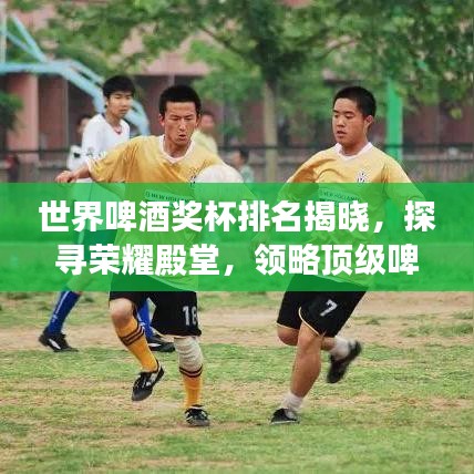 世界啤酒奖杯排名揭晓，探寻荣耀殿堂，领略顶级啤酒的魅力