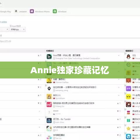 Annie独家珍藏记忆