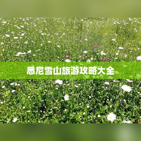 悉尼雪山旅游攻略大全