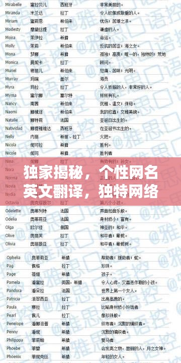 独家揭秘，个性网名英文翻译，独特网络身份标识大揭秘