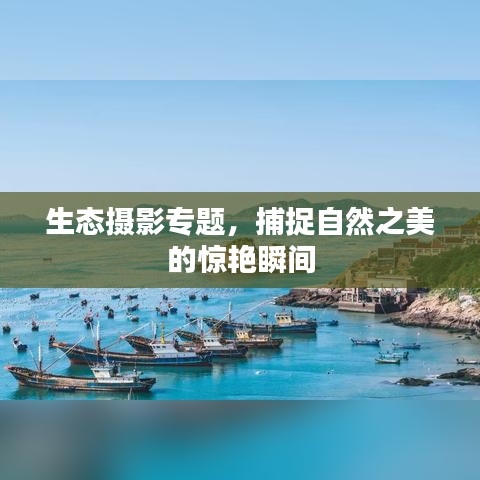 穷鸟入怀 第2页