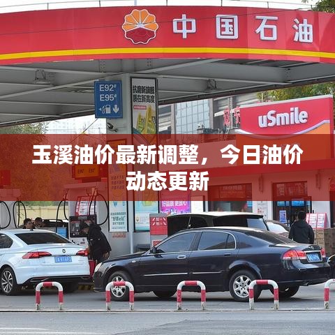 玉溪油价最新调整，今日油价动态更新