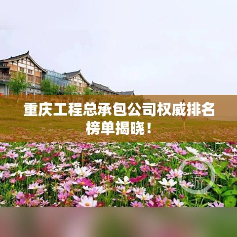 富贵有余 第2页