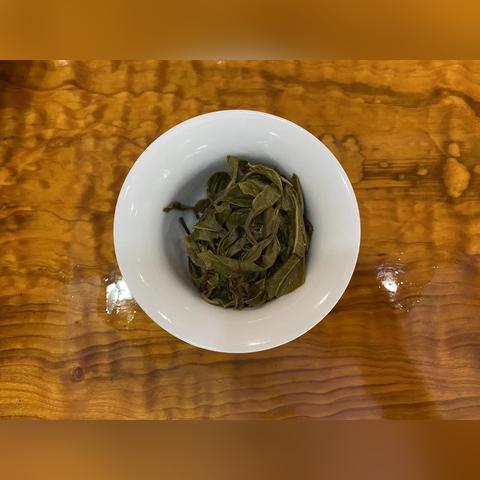 龙珠直播平台官方下载,决策资料解析说明-经典款_v1.537